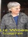 Liz Wines Video Interview Excerpt